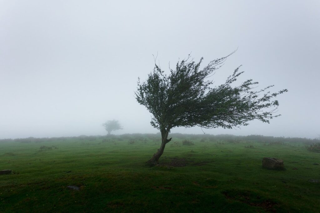 souffle, respiration anxiolitiques